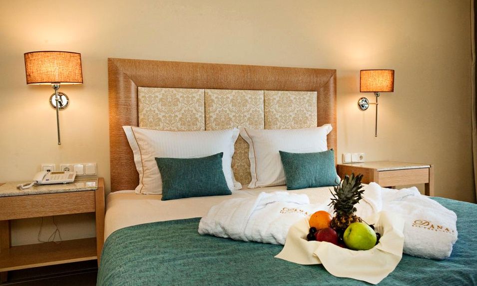 Αποτέλεσμα εικόνας για DANAI HOTEL & SPA