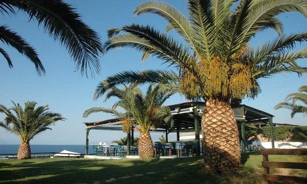 Koralli Beach Hotel, Παραλία Νιφορέικων, Αχαΐα Koralli Beach Hotel, Παραλία Νιφορέικων, Αχαΐα